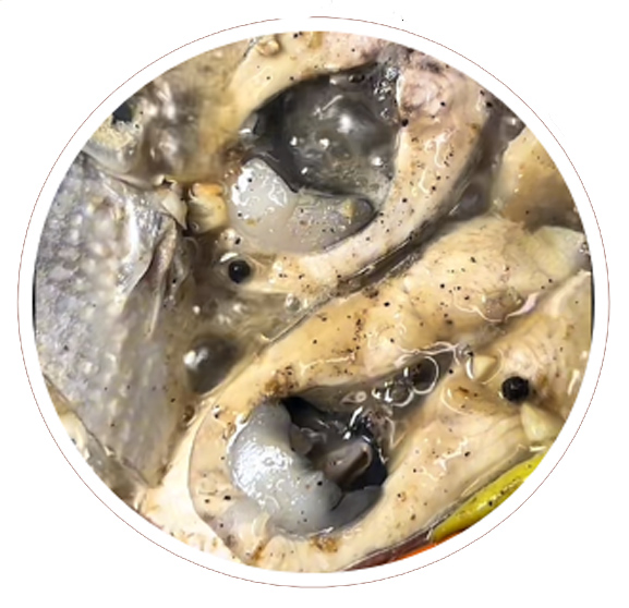 Paksiw ng Bangus